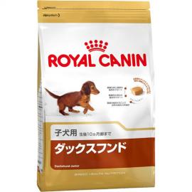 BHN ダックスフンド 子犬用 1.5kg