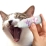 国産 猫の歯みがきジェル 30ml